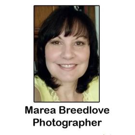 Marea Breedlove